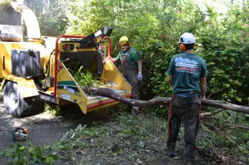 tree services Manteca